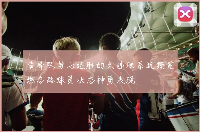 黄蜂队与七连胜的久违联系近期重燃各路球员状态神勇表现