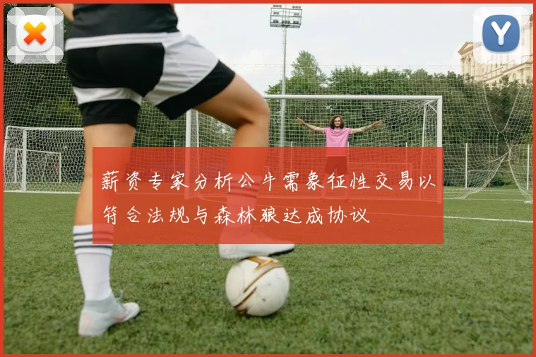 薪资专家分析公牛需象征性交易以符合法规与森林狼达成协议