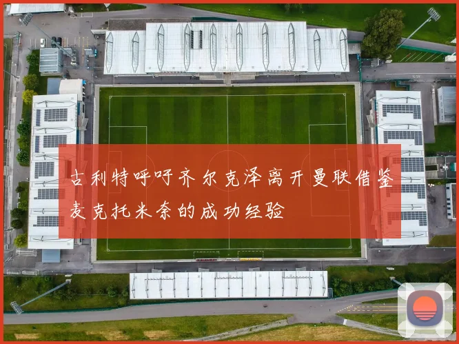 古利特呼吁齐尔克泽离开曼联借鉴麦克托米奈的成功经验